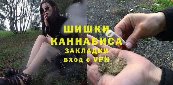 spice Богородицк