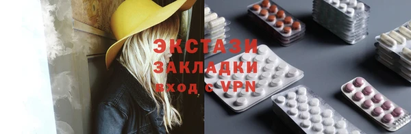 spice Богородицк