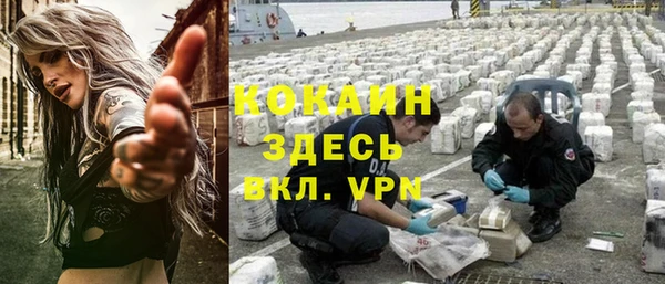 ECSTASY Богданович