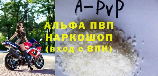 ECSTASY Богданович