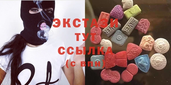ECSTASY Богданович