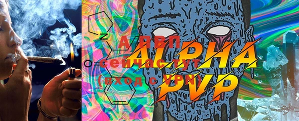 spice Богородицк