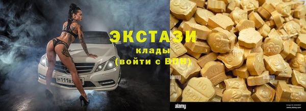 ECSTASY Богданович