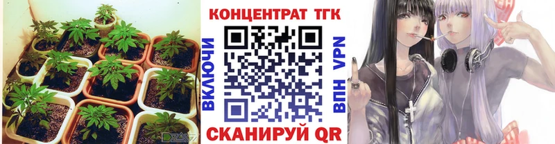 ТГК концентрат  где купить наркоту  Кущёвская 